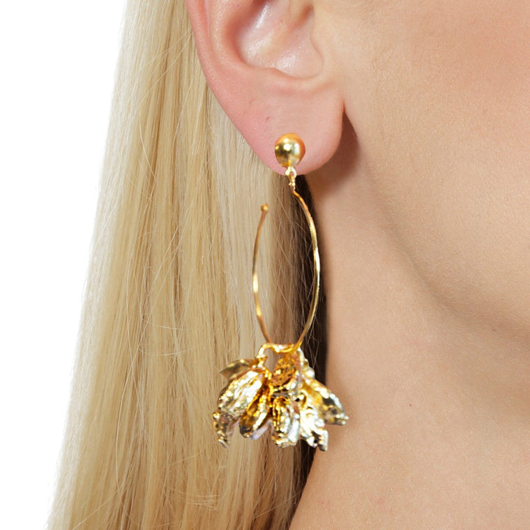 Cardamon Hoop Earrings - Alexandra Koumba Designs